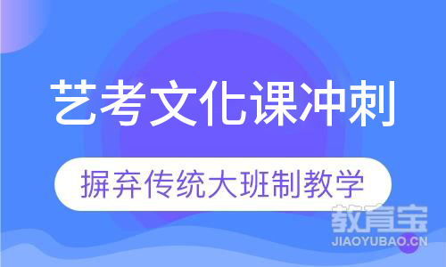 艺考文化课冲刺